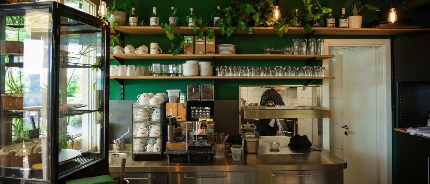 Caf&eacute;-Innenansicht mit Kaffeemaschine, Tassenregalen und Kuchen in einer Vitrine. Gr&uuml;ne W&auml;nde und Pflanzen sorgen f&uuml;r eine gem&uuml;tliche Atmosph&auml;re., &copy; Rotenberger Weing&auml;rtle