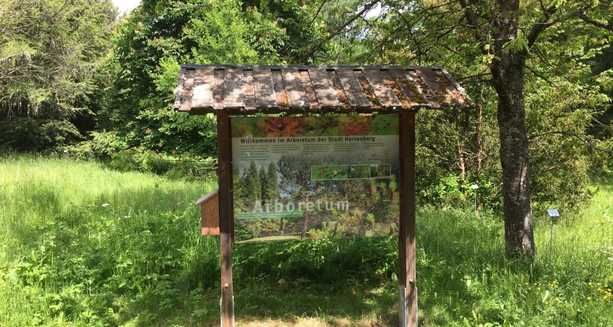 Eine Infotafel im Arboretum Herrenberg steht inmitten üppiger grüner Vegetation und Bäume, die eine ruhige Waldatmosphäre schaffen., © Natur.Nah. Schönbuch & Heckengäu Eine Infotafel im Arboretum Herrenberg steht inmitten üppiger grüner Vegetation und Bäume, die eine ruhige Waldatmosphäre schaffen., © Natur.Nah. Schönbuch & Heckengäu