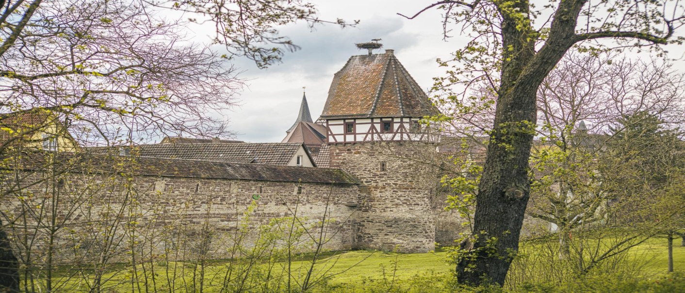Der Storchenturm in Weil der Stadt mit Fachwerk und Storchennest auf dem Dach, umgeben von Bäumen und einer alten Mauer., © SMG, Sarah Schmid