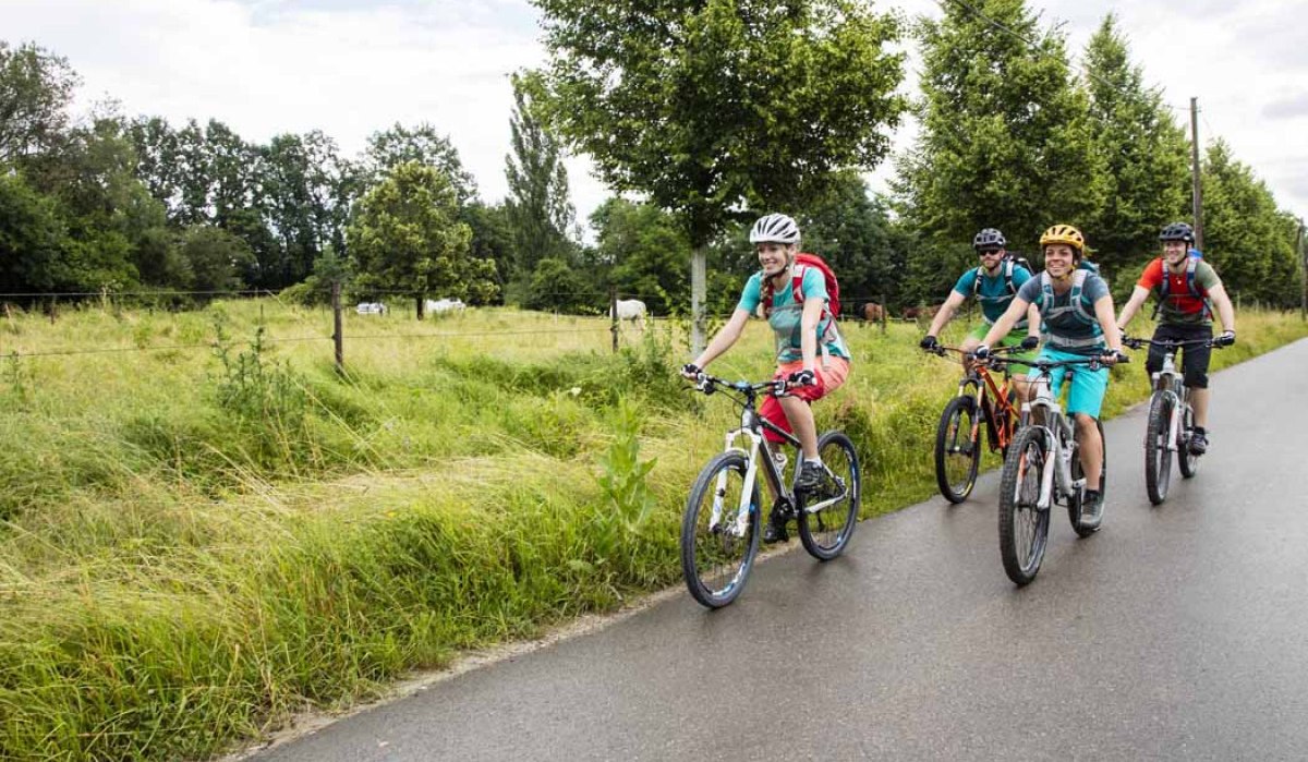 Vier Radfahrer fahren auf einer ländlichen Straße, umgeben von grünen Wiesen und Bäumen. Sie tragen Helme und sportliche Kleidung., © Schwäbische Alb Tourismusverband e.V.