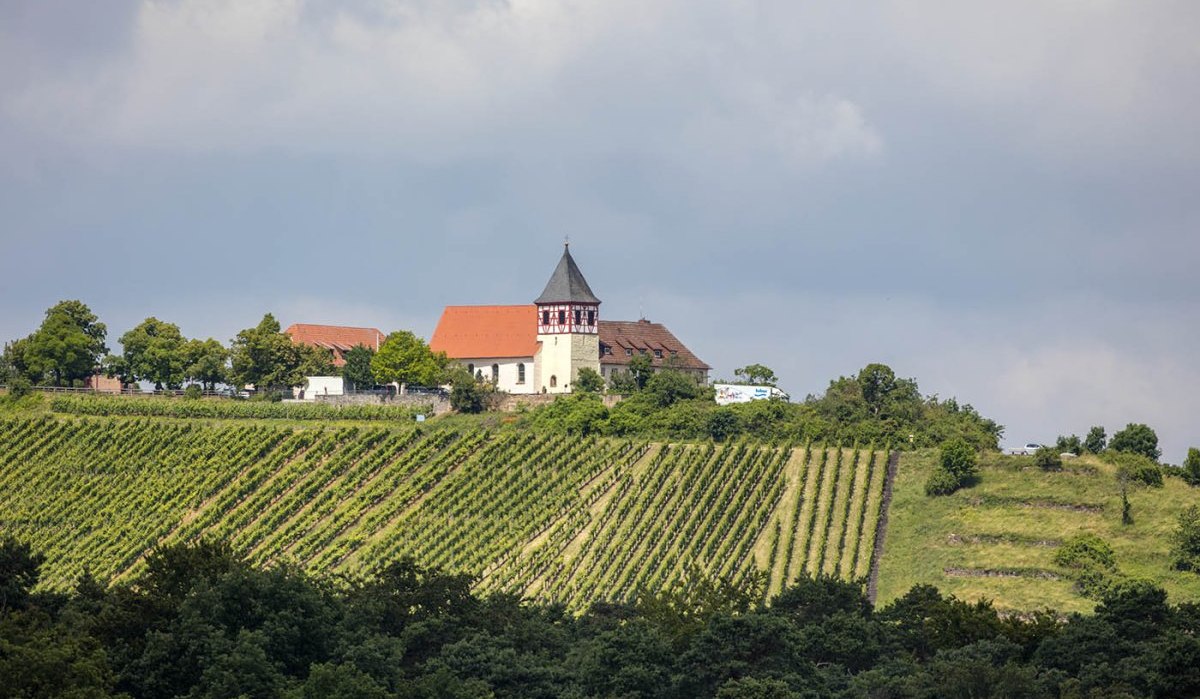 Michaelsberg, © Stadt Bönnigheim Michaelsberg, © Stadt Bönnigheim