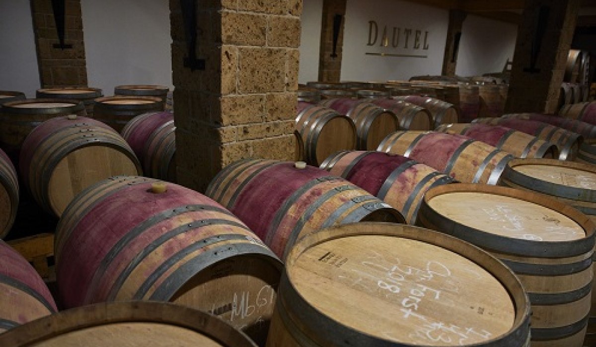 Holzfässer lagern in einem Weinkeller des Weinguts Dautel in Bönnigheim. Die Fässer sind mit Kreide beschriftet., © Land der 1000 Hügel - Kraichgau-Stromberg Holzfässer lagern in einem Weinkeller des Weinguts Dautel in Bönnigheim. Die Fässer sind mit Kreide beschriftet., © Land der 1000 Hügel - Kraichgau-Stromberg
