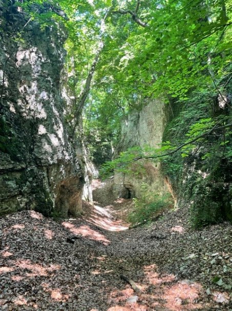 G&auml;stewanderung