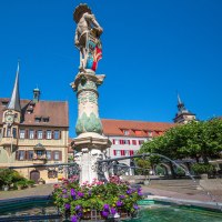 Brunnen mit Statue auf dem Marktplatz von Bietigheim-Bissingen, umgeben von historischen Gebäuden und blühenden Blumen, unter klarem, blauem Himmel. Brunnen mit Statue auf dem Marktplatz von Bietigheim-Bissingen, umgeben von historischen Gebäuden und blühenden Blumen, unter klarem, blauem Himmel.