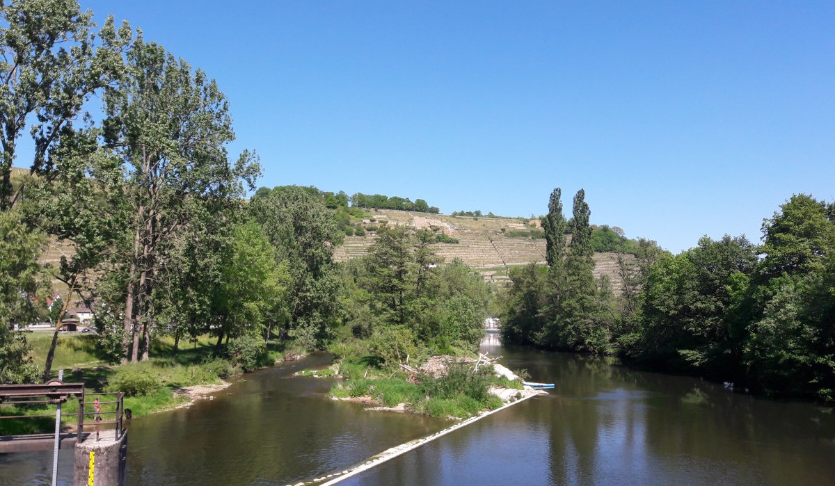 Fluss Enz mit Brücke im Vordergrund, umgeben von Bäumen und Weinbergen unter klarem, blauem Himmel bei Rosswag., © Land der 1000 Hügel - Kraichgau-Stromberg