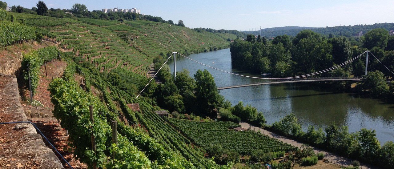 Weinberge erstrecken sich entlang eines H&uuml;gels am Neckar. Eine H&auml;ngebr&uuml;cke &uuml;berspannt den Fluss, umgeben von &uuml;ppigem Gr&uuml;n und bewaldeten H&uuml;geln., &copy; SoLawi Weinfrequenz