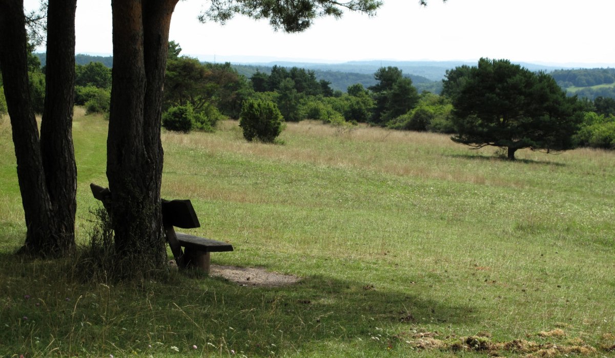 Eine Holzbank im Schatten von B&auml;umen auf einer Wiese mit Blick auf eine h&uuml;gelige Landschaft. Ein einzelner Baum steht im Hintergrund., &copy; Natur.Nah. Sch&ouml;nbuch & Heckeng&auml;u