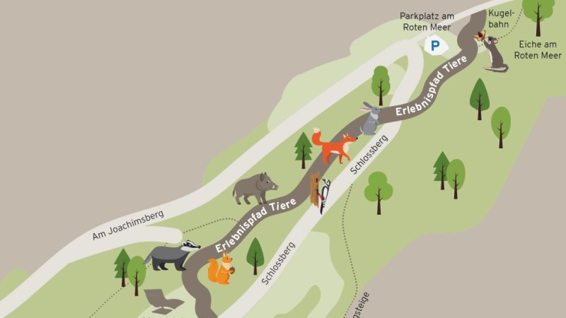 Karte des Tiererlebnispfads am Schlossberg mit illustrierten Tieren wie Fuchs, Hase und Wildschwein. Wege und Sehenswürdigkeiten sind markiert., © KFS Studio