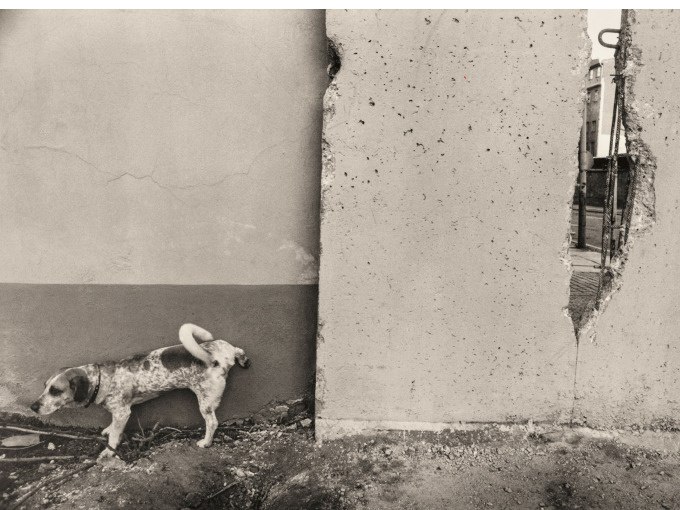 Ein Hund uriniert an einer Wand neben einer besch&auml;digten Betonmauer. Durch ein Loch in der Mauer ist ein Geb&auml;ude sichtbar., &copy; Kunsthalle G&ouml;ppingen