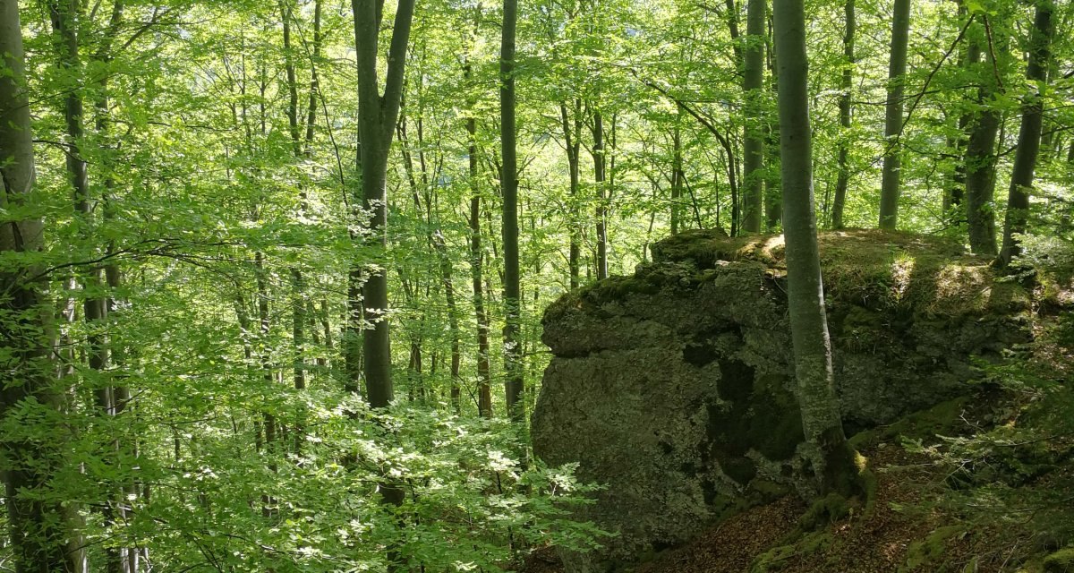 Der Schlupffels am Waldrand, &copy; Bad Urach Tourismus