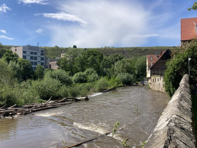 Ein Fluss fließt durch Besigheim, gesäumt von Gebäuden und üppiger Vegetation. Im Hintergrund sind Weinberge zu sehen., © Stadt Besigheim