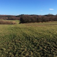 Grüne Wiesen und Büsche unter klarem, blauem Himmel im Naturschutzgebiet Dickenberg., © Natur.Nah. Schönbuch & Heckengäu