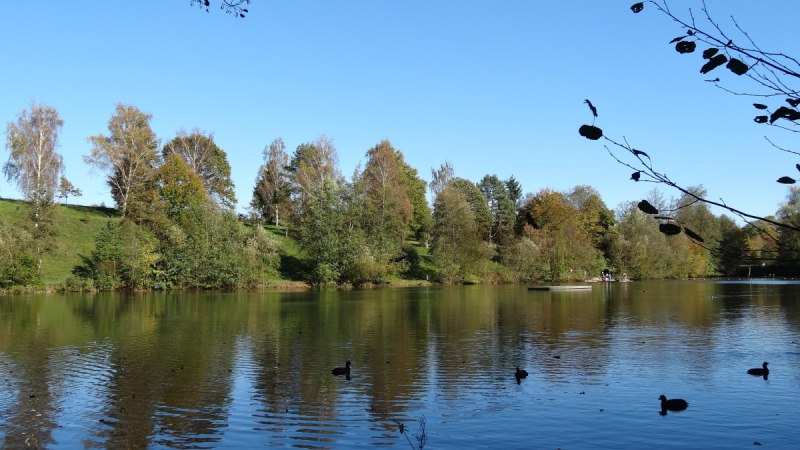 Ein See mit Enten und Bäumen im Hintergrund unter einem klaren blauen Himmel. Zweige ragen ins Bild., © Nürtingen - Stuttgart-Marketing GmbH Ein See mit Enten und Bäumen im Hintergrund unter einem klaren blauen Himmel. Zweige ragen ins Bild., © Nürtingen - Stuttgart-Marketing GmbH