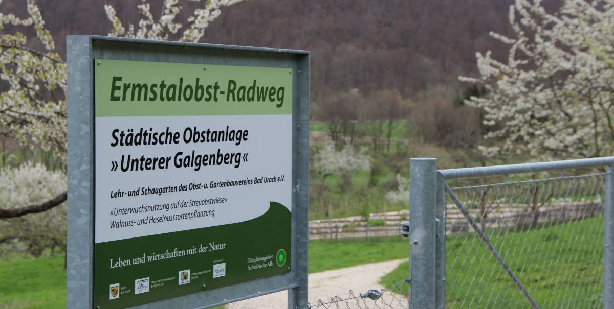 Schild der städtischen Obstanlage 'Unterer Galgenberg' am Ermstalobst-Radweg, umgeben von blühenden Bäumen und einem Zaun. Schild der städtischen Obstanlage 'Unterer Galgenberg' am Ermstalobst-Radweg, umgeben von blühenden Bäumen und einem Zaun.