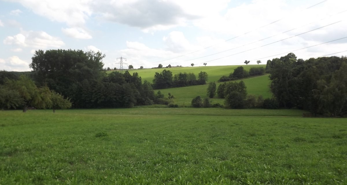 Weite gr&uuml;ne Wiese mit sanften H&uuml;geln und vereinzelten B&auml;umen, Stromleitungen im Hintergrund, unter einem leicht bew&ouml;lkten Himmel., &copy; Natur.Nah. Sch&ouml;nbuch & Heckeng&auml;u