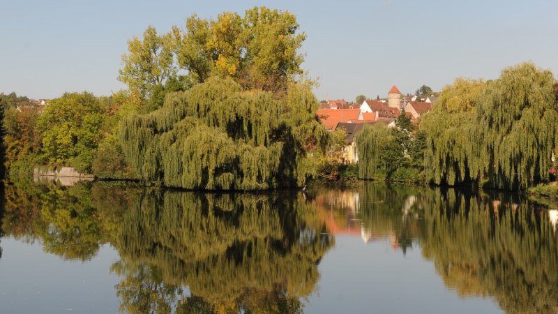 Ein ruhiger Fluss mit üppigen Bäumen und roten Dächern im Hintergrund, die sich im klaren Wasser spiegeln., © Land der 1000 Hügel - Kraichgau-Stromberg