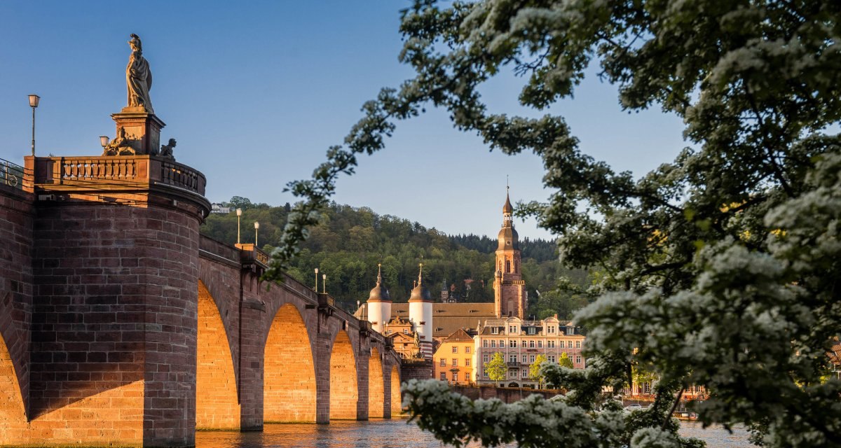 Die Alte Br&uuml;cke in Heidelberg, umrahmt von bl&uuml;henden B&auml;umen, mit Blick auf die Stadt und den Neckar im Abendlicht., &copy; Tobias Schwerdt