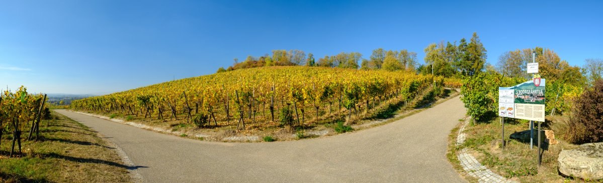 Panoramabild am Sörenberg, © WTM GmbH Waiblingen Panoramabild am Sörenberg, © WTM GmbH Waiblingen