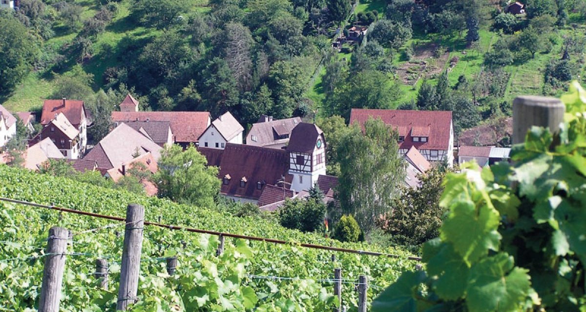 Dorf mit Fachwerkhäusern inmitten von Weinbergen und grünen Hügeln, aufgenommen vom Weinwanderweg Rohracker., © Stuttgart-Marketing GmbH Dorf mit Fachwerkhäusern inmitten von Weinbergen und grünen Hügeln, aufgenommen vom Weinwanderweg Rohracker., © Stuttgart-Marketing GmbH