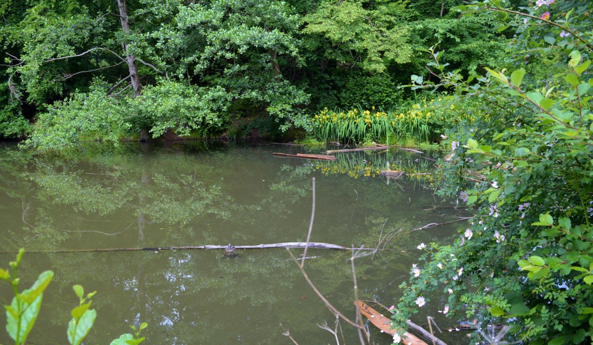 &copy; Landkreis G&ouml;ppingen