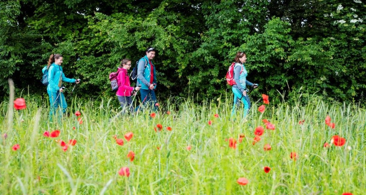 Vier Wanderer in bunter Kleidung gehen über eine blühende Wiese mit roten Blumen, im Hintergrund dichter Wald., © Stadt Kirchheim unter Teck; Torsten Wenzler Vier Wanderer in bunter Kleidung gehen über eine blühende Wiese mit roten Blumen, im Hintergrund dichter Wald., © Stadt Kirchheim unter Teck; Torsten Wenzler