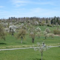 &copy; Natur.Nah. Sch&ouml;nbuch & Heckeng&auml;u