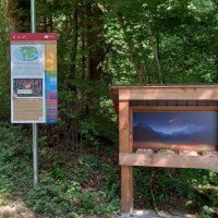 Eine Informationstafel und eine Wurfbude stehen im Wald auf dem Geopfad Gaildorf, Station 4. Die Tafel enthält geologische Informationen. Eine Informationstafel und eine Wurfbude stehen im Wald auf dem Geopfad Gaildorf, Station 4. Die Tafel enthält geologische Informationen.