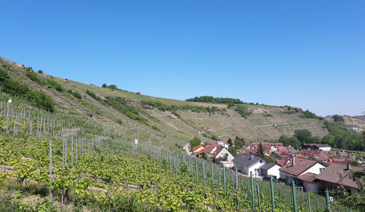 Weinberge erstrecken sich über Hügel, im Hintergrund ein Dorf mit roten Dächern unter klarem, blauem Himmel., © Land der 1000 Hügel - Kraichgau-Stromberg