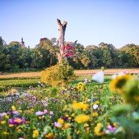 Bunte Blumenwiese mit einem Baumstumpf, auf dem eine rote Skulptur steht. Im Hintergrund sind ein Schloss und Bäume zu sehen., © Natur.Nah. Schönbuch & Heckengäu Bunte Blumenwiese mit einem Baumstumpf, auf dem eine rote Skulptur steht. Im Hintergrund sind ein Schloss und Bäume zu sehen., © Natur.Nah. Schönbuch & Heckengäu