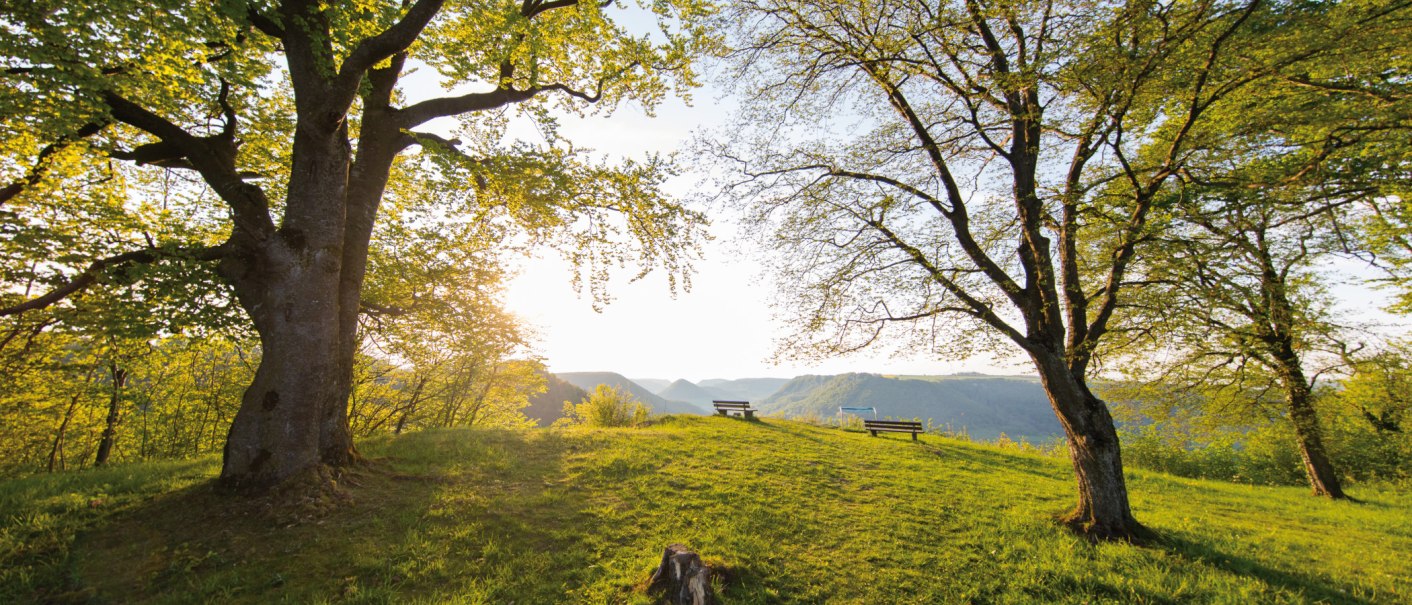 Zwei B&auml;ume rahmen einen Aussichtspunkt mit B&auml;nken ein, im Hintergrund sind H&uuml;gel zu sehen. Die Sonne scheint durch die Bl&auml;tter., &copy; SMG, Achim Mende
