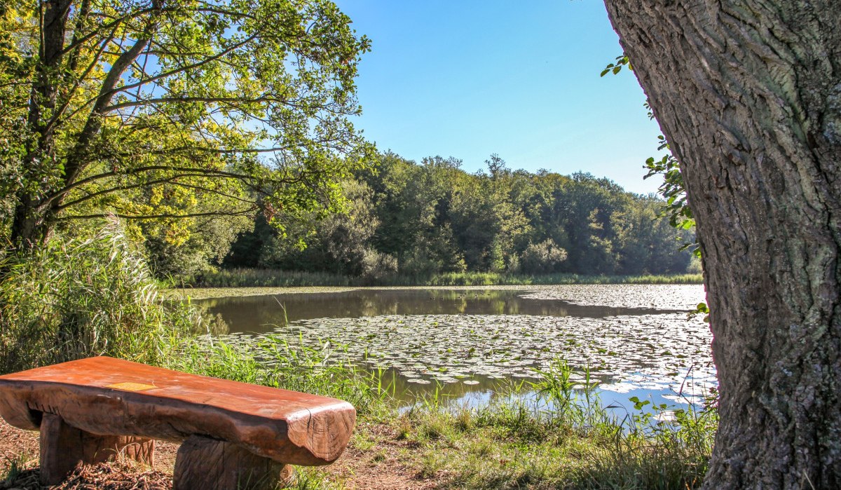 Holzbank am Ufer eines Sees mit Seerosen, umgeben von Bäumen und blauem Himmel., © Landkreis Göppingen