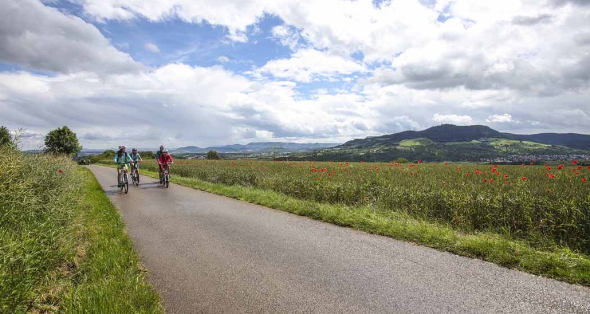 Drei Radfahrer fahren auf einer Landstraße, umgeben von Mohnblumenfeldern. Im Hintergrund sind Hügel und eine bewölkte Himmel zu sehen., © Schwäbische Alb Tourismusverband e.V. Drei Radfahrer fahren auf einer Landstraße, umgeben von Mohnblumenfeldern. Im Hintergrund sind Hügel und eine bewölkte Himmel zu sehen., © Schwäbische Alb Tourismusverband e.V.