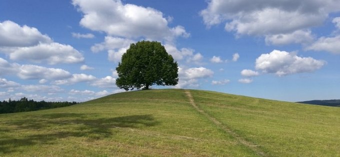 Wanderung mit der Natur- und Landschaftsführerin Kathrin Steinhart
