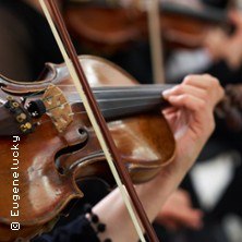 Vivaldi - Die Vier Jahreszeiten - Kammerorchester der Neuen Philharmonie Hamburg, © links im Bild