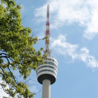 Der Fernsehturm Stuttgart ragt in den blauen Himmel, umgeben von grünen Baumzweigen., © Stuttgart-Marketing GmbH
