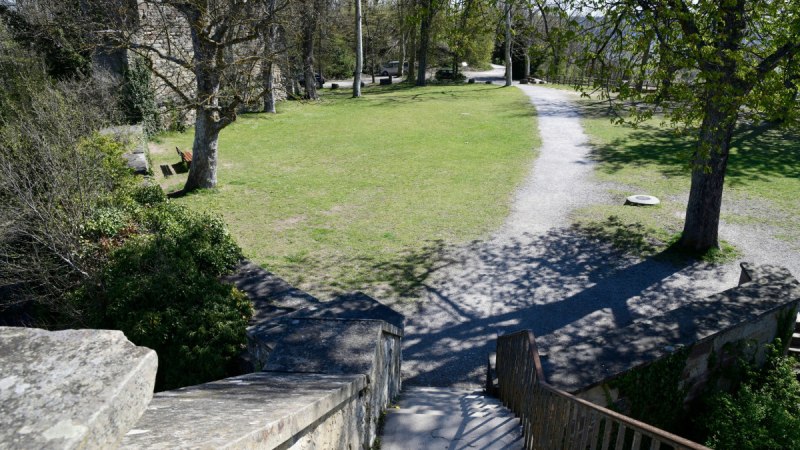 Blick von einer Steintreppe auf eine gr&uuml;ne Wiese mit B&auml;umen und einem geschwungenen Weg. Die Szene ist von Sonnenlicht durchflutet., &copy; Natur.Nah. Sch&ouml;nbuch & Heckeng&auml;u