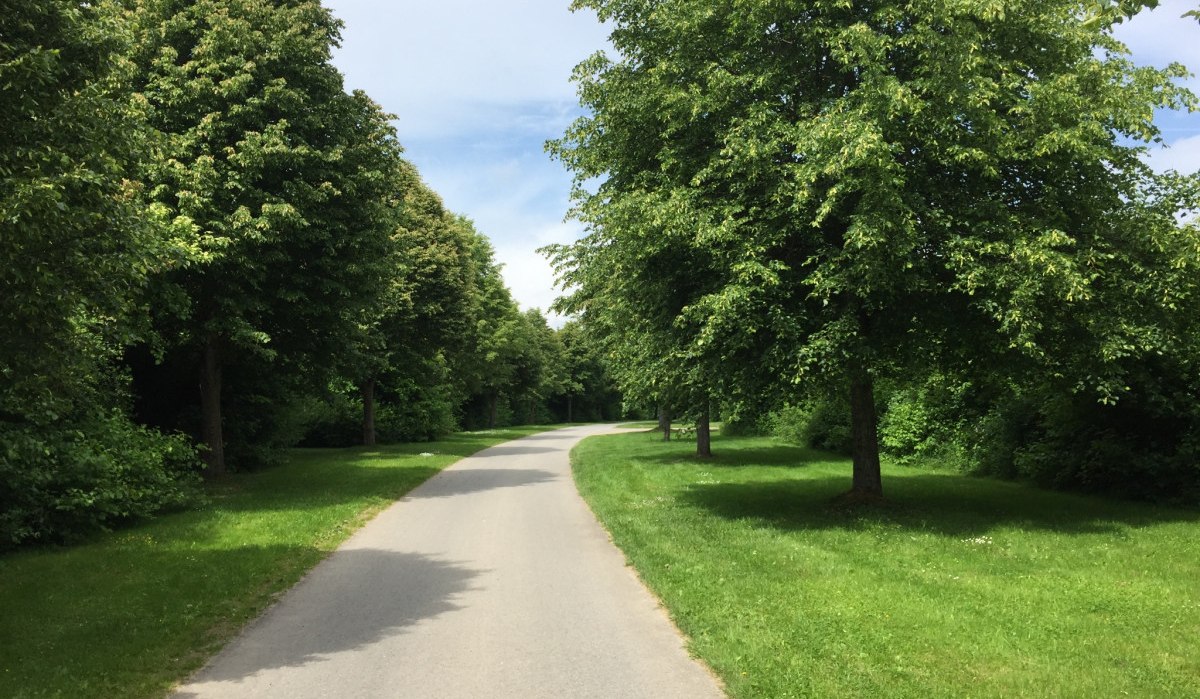 Ein asphaltierter Weg schl&auml;ngelt sich durch eine gr&uuml;ne Landschaft, ges&auml;umt von &uuml;ppigen B&auml;umen unter einem blauen Himmel., &copy; www.pro-cycl.de