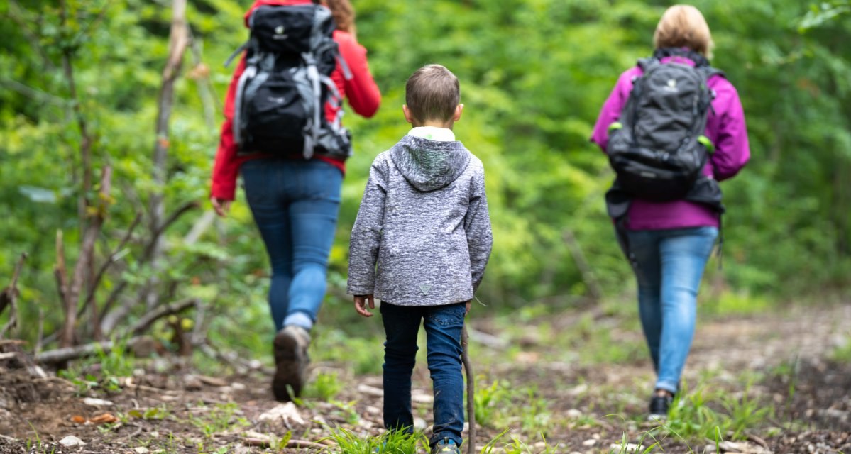 Drei Personen wandern auf einem Waldweg, zwei Erwachsene und ein Kind mit Rucks&auml;cken. Der Weg ist von gr&uuml;ner Vegetation umgeben., &copy; Touristikgemeinschaft Hohenlohe e. V. | Stadt K&uuml;nzelsau