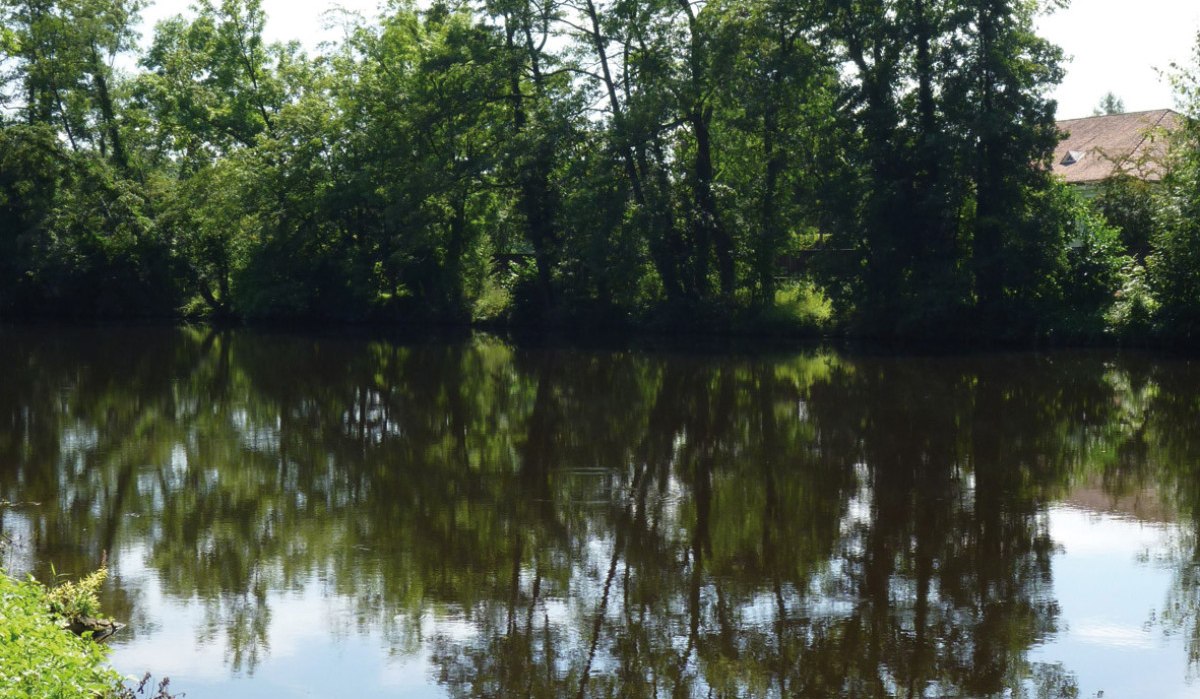 Ein ruhiger Fluss mit grünen Bäumen am Ufer, deren Spiegelung im Wasser sichtbar ist. Der Himmel ist klar mit einigen Wolken., © Land der 1000 Hügel - Kraichgau-Stromberg