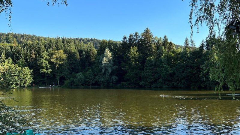 Gr&uuml;ne Tretboote liegen am Ufer eines ruhigen Sees, umgeben von dichtem Wald und klarem, blauem Himmel., &copy; Ulrike Pfizenmaier
