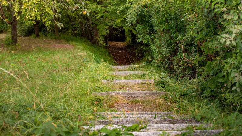 Fotografie Heiko Potthoff Fotografie Heiko Potthoff