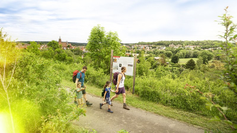 Eine Familie wandert auf einem Weg, vorbei an einer Informationstafel. Im Hintergrund ist eine Stadt mit Kirche und grüner Landschaft zu sehen., © Markus Born Eine Familie wandert auf einem Weg, vorbei an einer Informationstafel. Im Hintergrund ist eine Stadt mit Kirche und grüner Landschaft zu sehen., © Markus Born