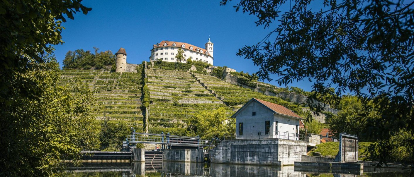 Schloss Kaltenstein thront auf einem Hügel mit terrassierten Weinbergen. Im Vordergrund ein kleines Gebäude und Wasser. Blauer Himmel und grüne Bäume umrahmen die Szene., © Stuttgart-Marketing GmbH, Sarah Schmid Schloss Kaltenstein thront auf einem Hügel mit terrassierten Weinbergen. Im Vordergrund ein kleines Gebäude und Wasser. Blauer Himmel und grüne Bäume umrahmen die Szene., © Stuttgart-Marketing GmbH, Sarah Schmid
