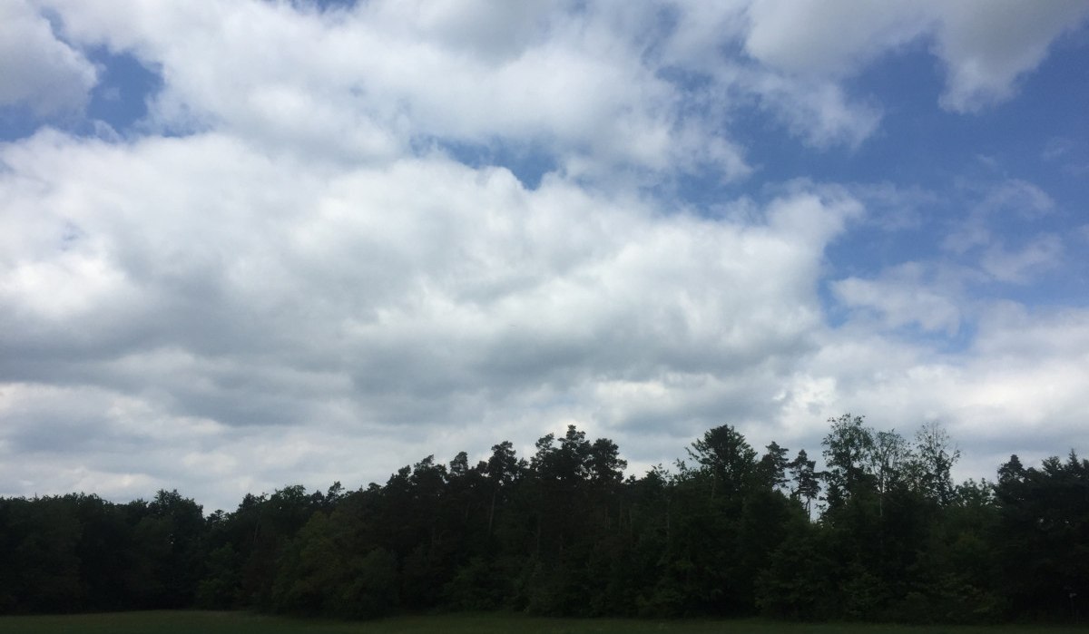 Ein bewölkter Himmel über einem grünen Wald und Feld am Kenlenberg. Die Wolken sind dicht und der Himmel ist teilweise blau., © www.pro-cycl.de Ein bewölkter Himmel über einem grünen Wald und Feld am Kenlenberg. Die Wolken sind dicht und der Himmel ist teilweise blau., © www.pro-cycl.de