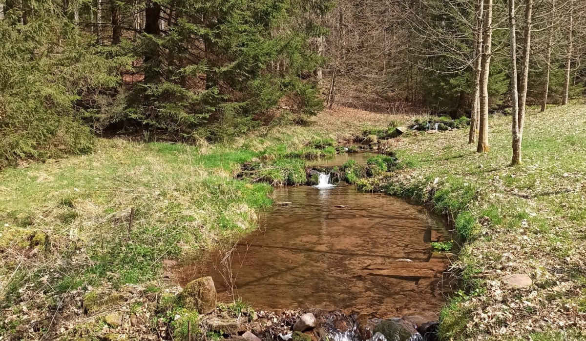 Am Heselbach entlang geht es auf die H&ouml;he, &copy; N&ouml;rdlicher Schwarzwald