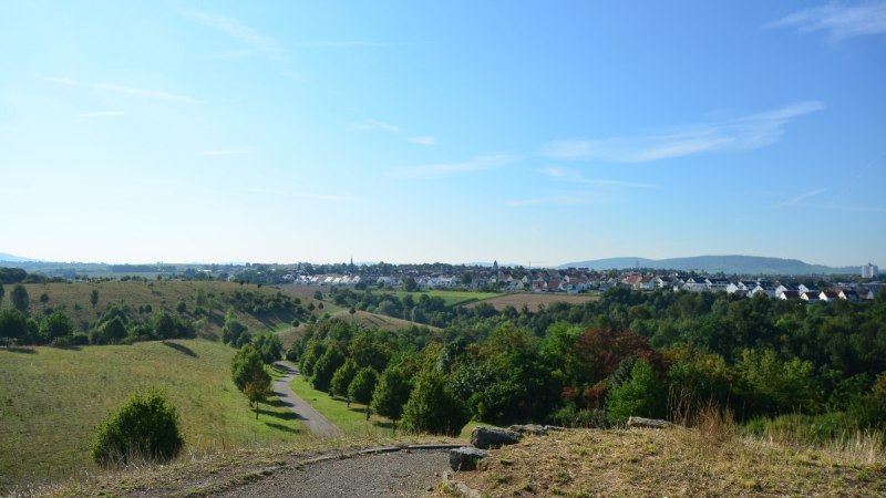 Panoramablick vom Oeffinger Berg auf eine gr&uuml;ne Landschaft mit Feldern, B&auml;umen und einer Siedlung im Hintergrund unter klarem, blauem Himmel., &copy; Fellbach Tourismus