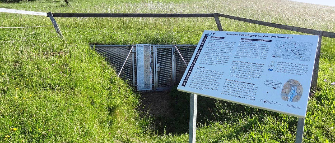 Infotafel am Bodenlehrpfad Beuren erklärt die Bodenbeschaffenheit und Vegetation. Im Hintergrund ist eine grüne Wiese zu sehen., © Kurverwaltung Beuren