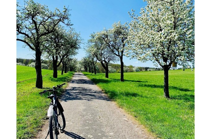 Ein E-Bike steht auf einem l&auml;ndlichen Weg, ges&auml;umt von bl&uuml;henden B&auml;umen. Der Himmel ist klar und blau, die Umgebung gr&uuml;n und einladend., &copy; Stadt Besigheim