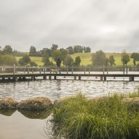 Ein Steg am Aichstruter Stausee, umgeben von grüner Landschaft und Bäumen. Im Vordergrund sind Steine und Gras am Ufer zu sehen., © SMG, Sarah Schmid