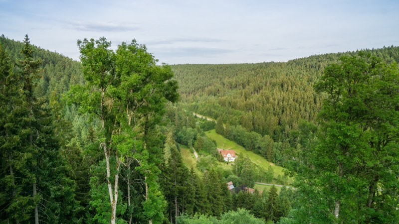 Grünes Tal mit dichtem Wald, einem Haus mit rotem Dach in der Mitte und einem klaren Himmel im Hintergrund., © Nördlicher Schwarzwald Grünes Tal mit dichtem Wald, einem Haus mit rotem Dach in der Mitte und einem klaren Himmel im Hintergrund., © Nördlicher Schwarzwald